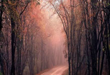 河北华夏幸福击败黑马，提速冲击前四