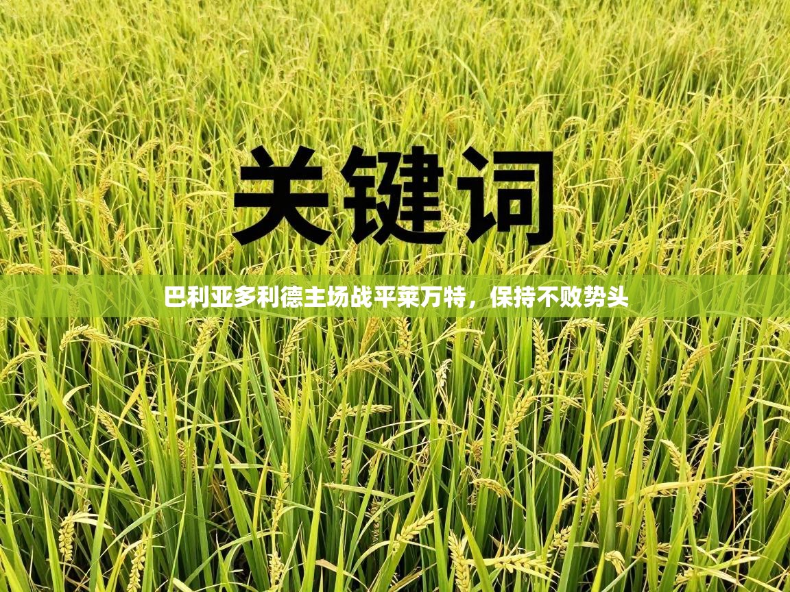 巴利亚多利德主场战平莱万特,保持不败势头 第2张