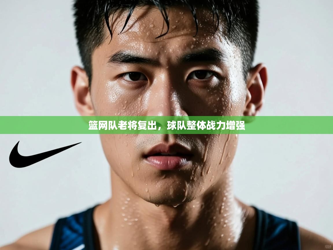 篮网队老将复出,球队整体战力增强 第2张