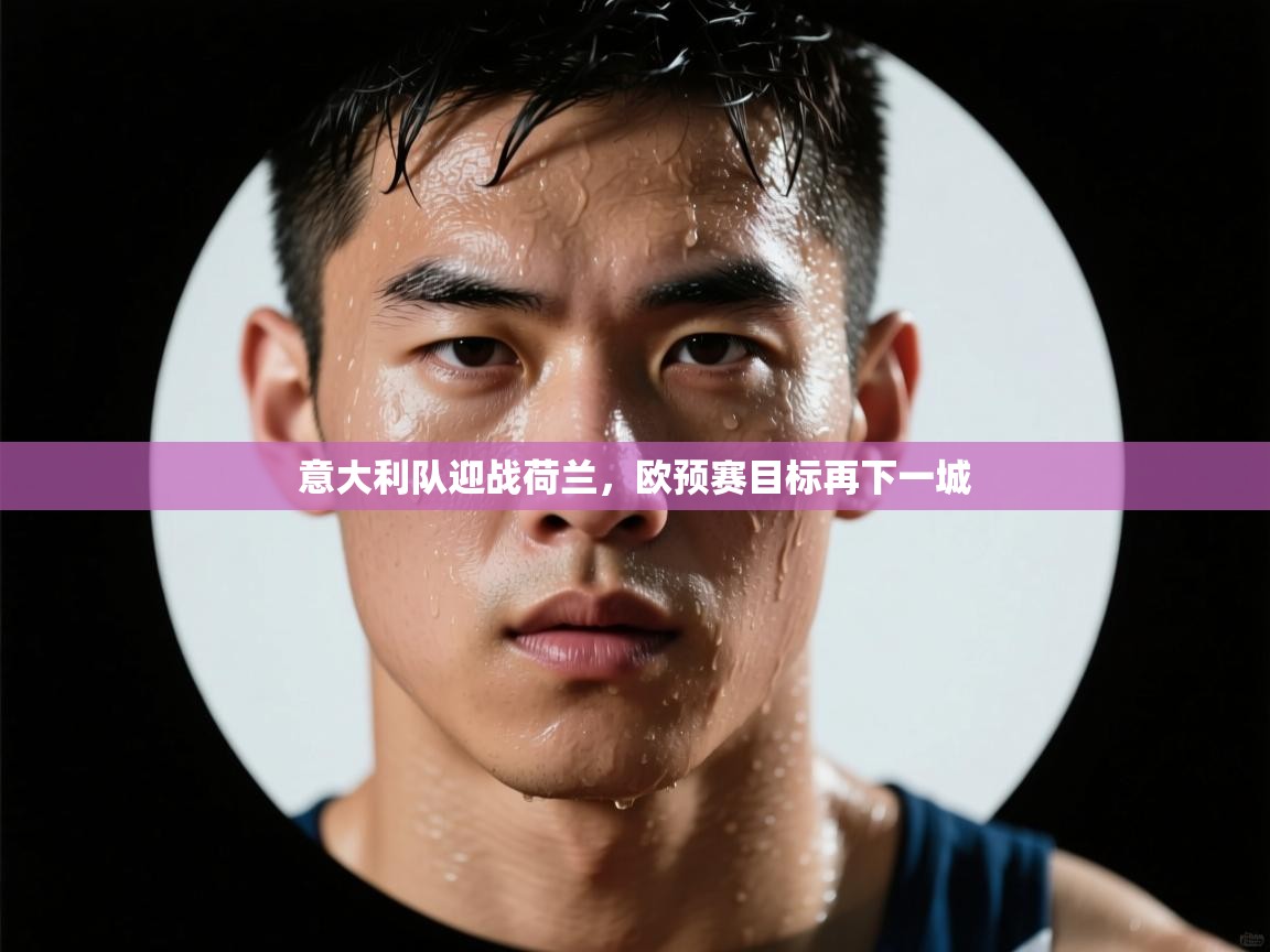 意大利队迎战荷兰,欧预赛目标再下一城 第2张